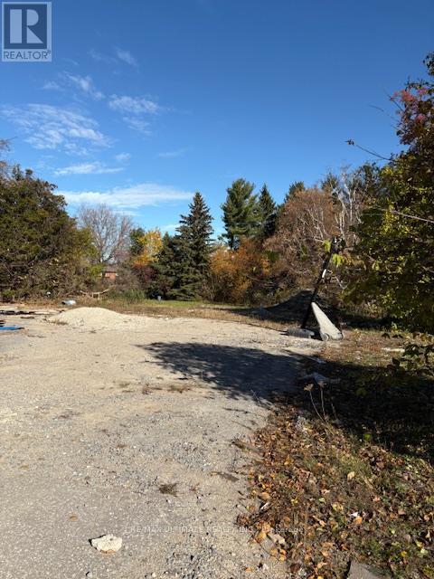 281 Barrie Street, Bradford West Gwillimbury (Bradford), Ontario  L3Z 2Z7 - Photo 11 - N12485426