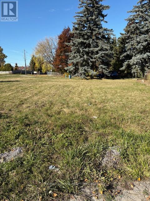 281 Barrie Street, Bradford West Gwillimbury (Bradford), Ontario  L3Z 2Z7 - Photo 9 - N12485426