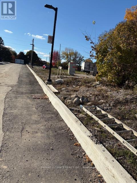 281 Barrie Street, Bradford West Gwillimbury (Bradford), Ontario  L3Z 2Z7 - Photo 12 - N12485426