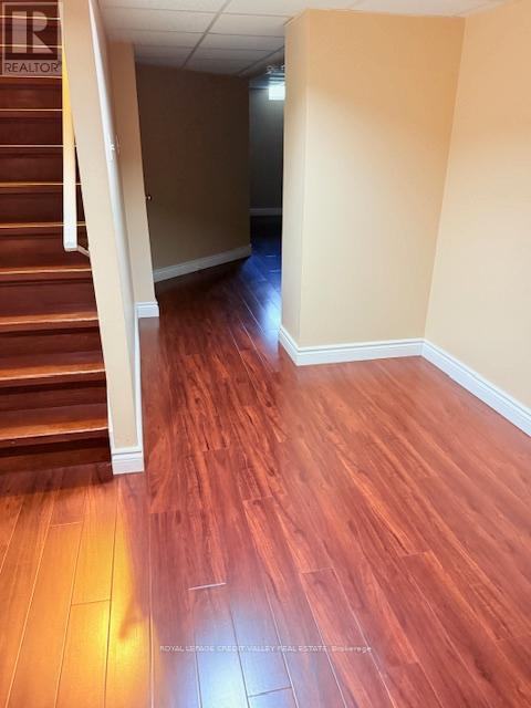 770 Ashprior Avenue, Mississauga, Ontario  L5R 3P1 - Photo 15 - W12487976