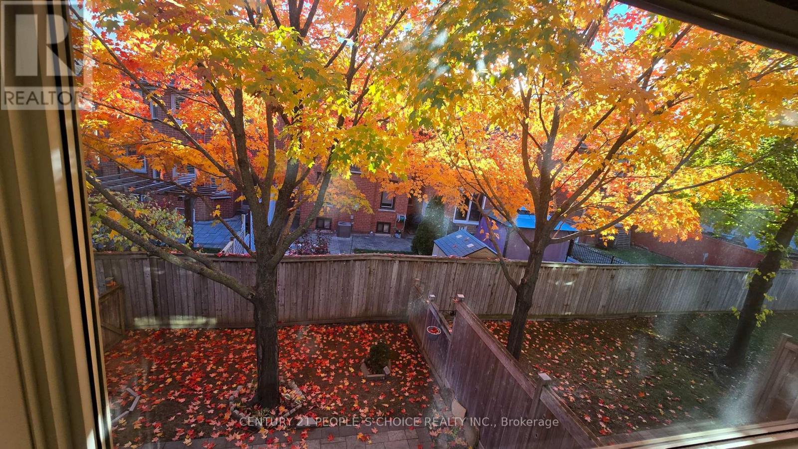 79 - 5223 Fairford Crescent, Mississauga, Ontario  L5V 2M6 - Photo 11 - W12488154