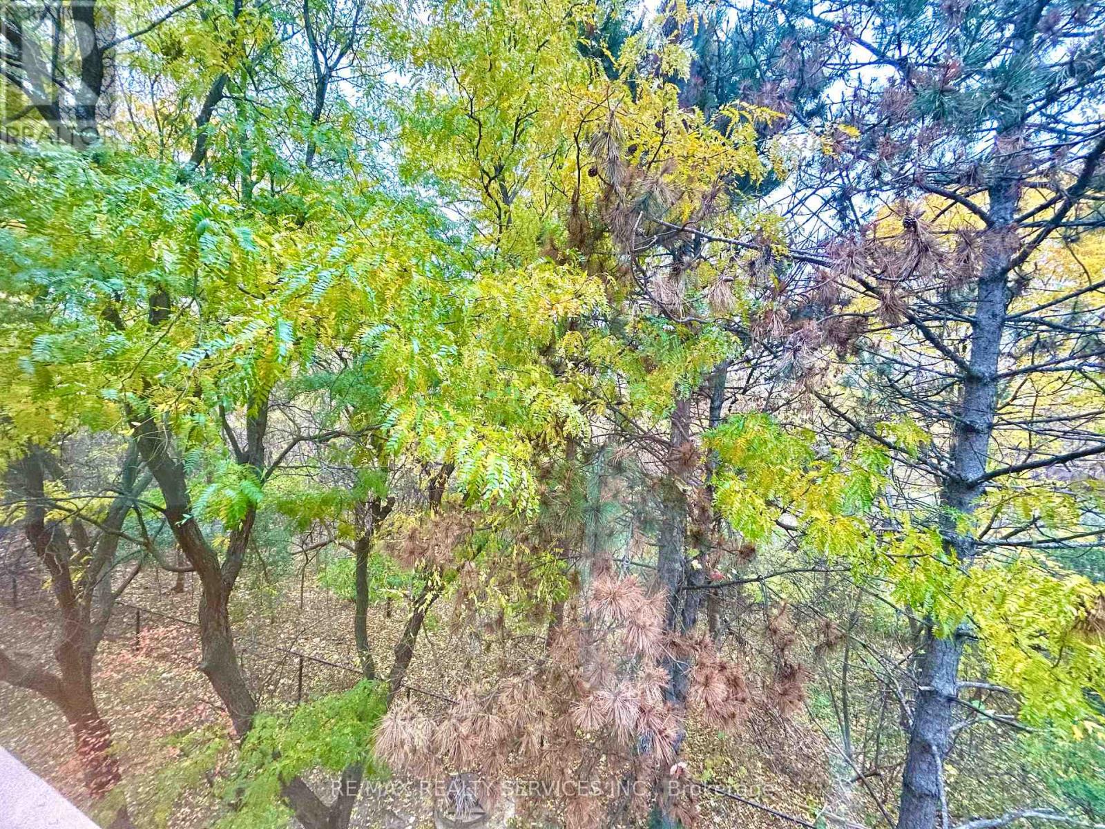 308 - 8351 Mclaughlin Road, Brampton, Ontario  L6Y 4H8 - Photo 18 - W12488592