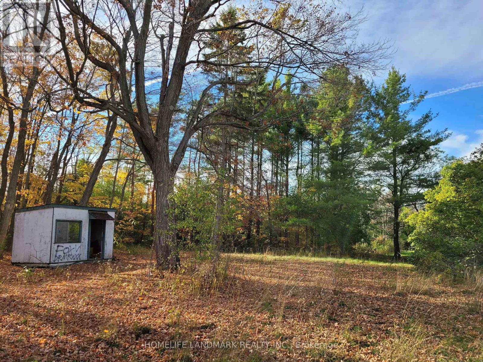 4209 Bath Road, Kingston, Ontario  K7M 4Y8 - Photo 17 - X12487902