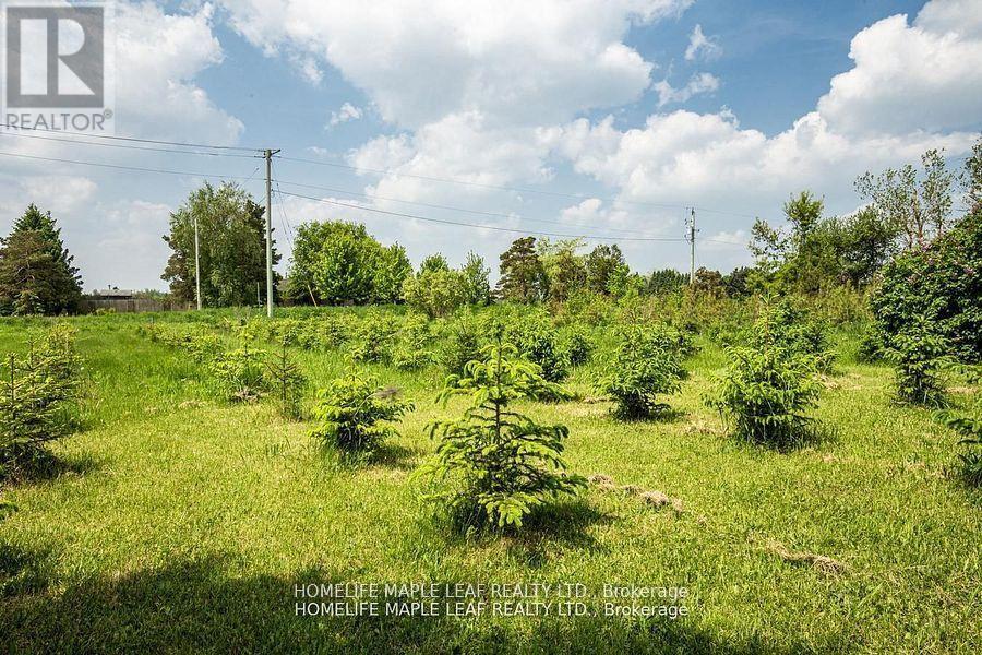 64149 County Road 3, East Garafraxa, Ontario  L9W 7J4 - Photo 45 - X12487972