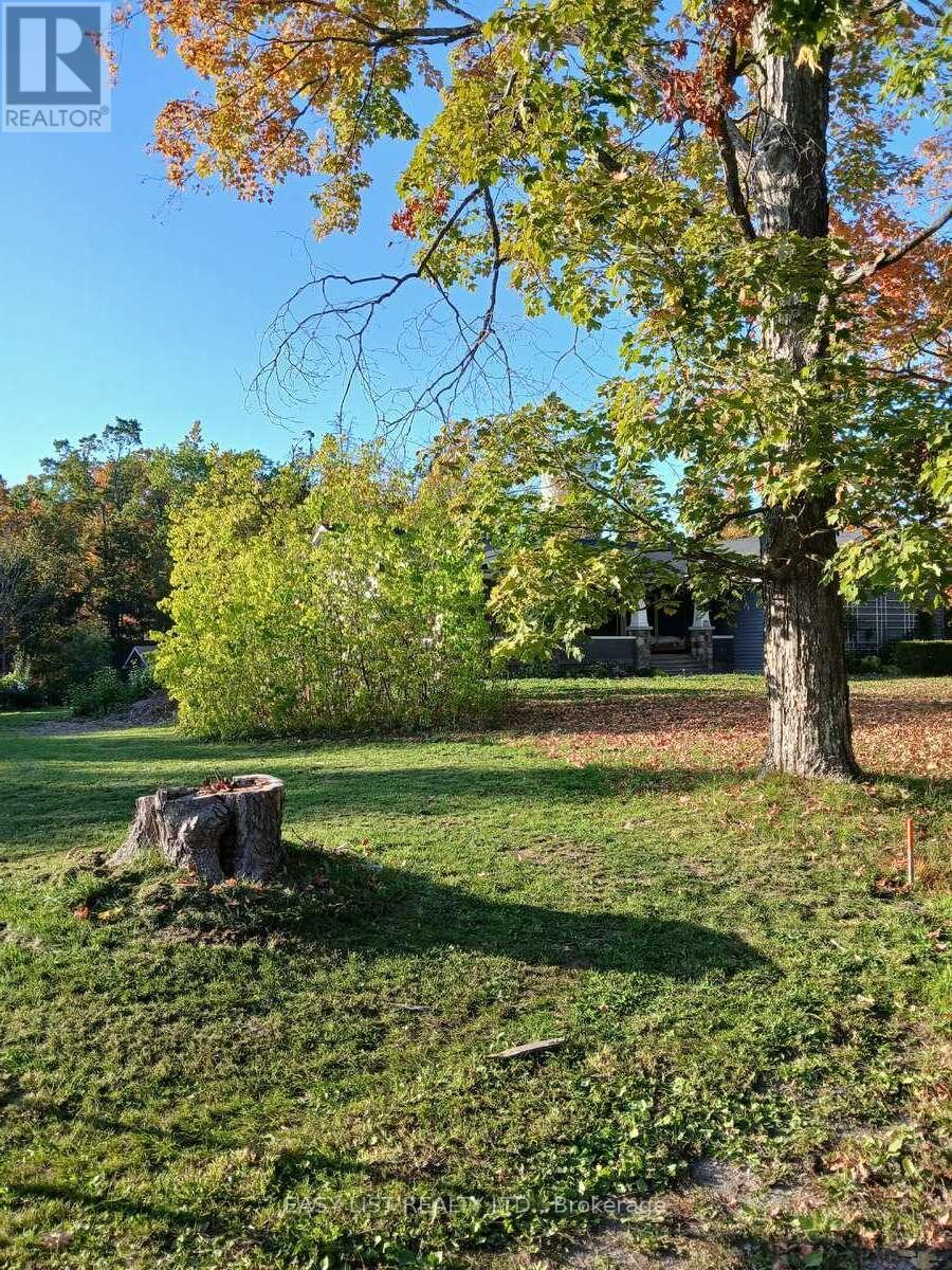 49 Clifton Street, Kawartha Lakes, Ontario  K0M 1N0 - Photo 4 - X12488836