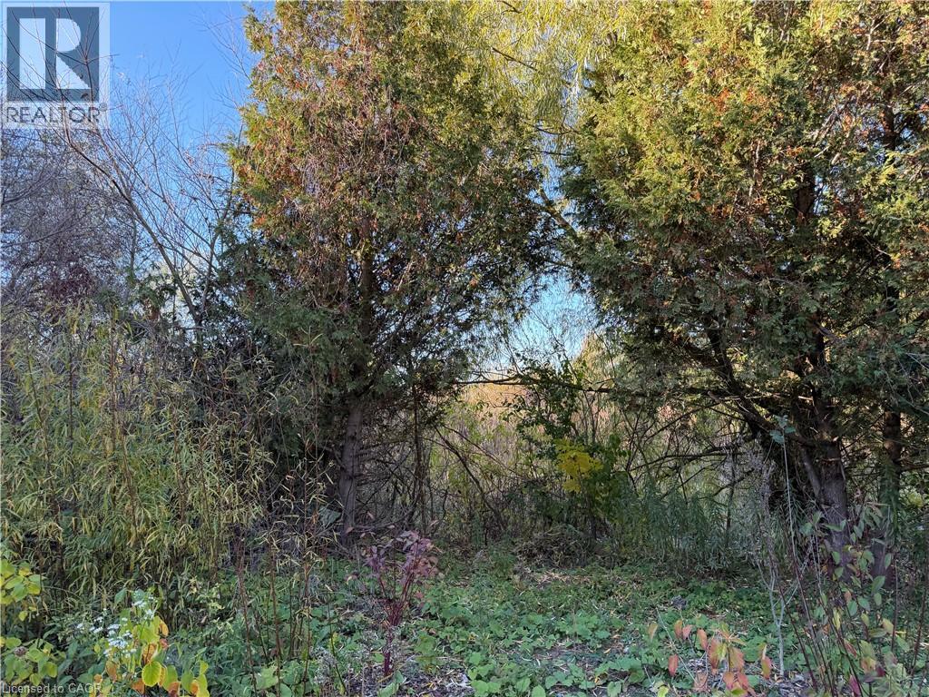 425 Old Oak Drive Unit# Upper, Waterloo, Ontario  N2T 2V6 - Photo 3 - 40783847