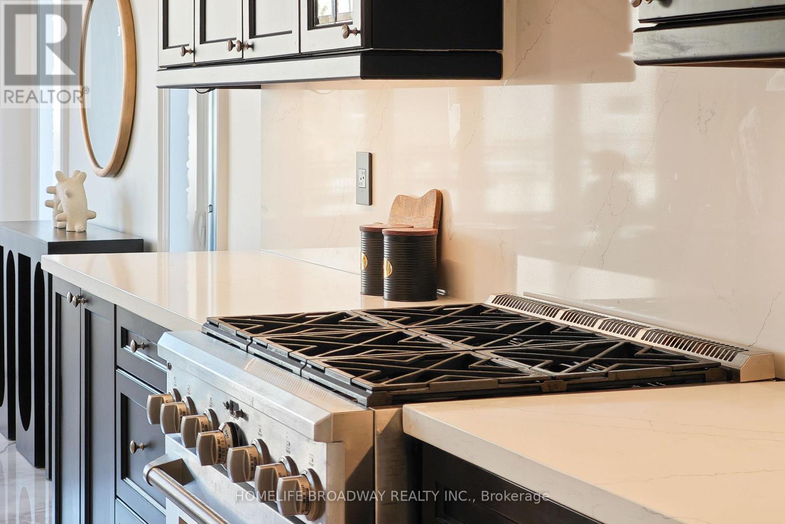 55 Avenue Road, Richmond Hill, Ontario  L4C 6B7 - Photo 10 - N12489108