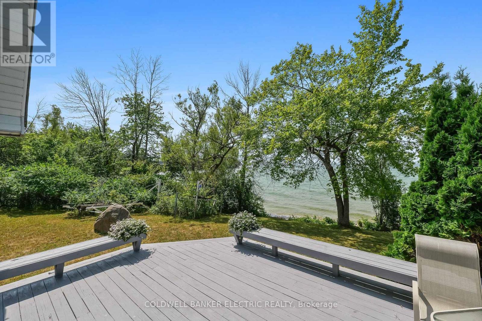 1481 Beaver Road, Georgina Islands, Ontario  L0E 1R0 - Photo 6 - N12489154