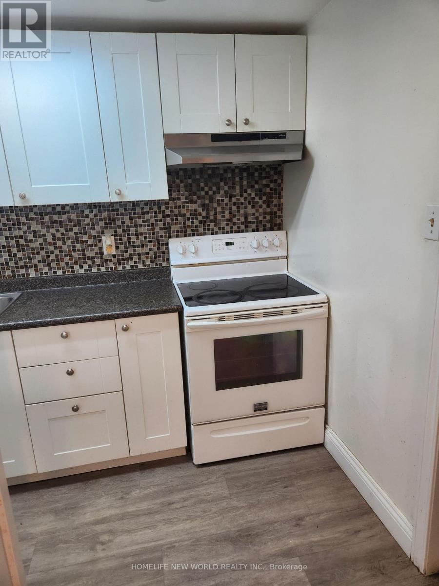 Basement - 12 Hartsville Avenue, Toronto, Ontario  M1C 3K4 - Photo 3 - E12489146