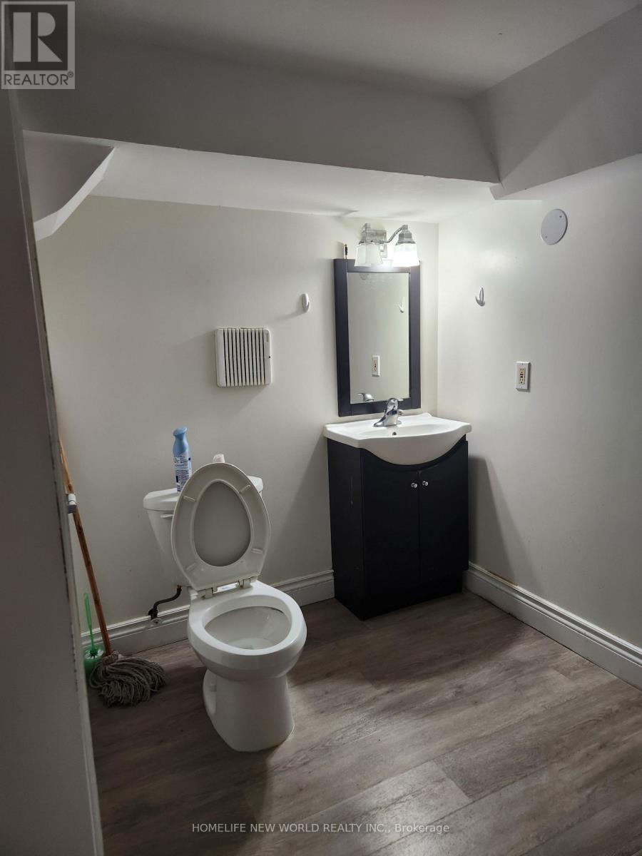 Basement - 12 Hartsville Avenue, Toronto, Ontario  M1C 3K4 - Photo 5 - E12489146