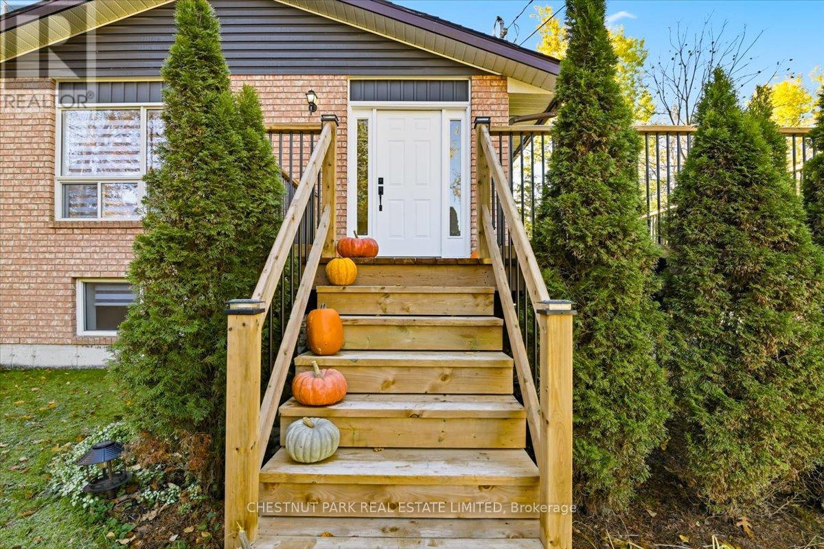 49 Sandra Drive, Georgina, Ontario  L0E 1R0 - Photo 3 - N12489180