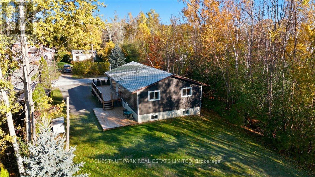 49 Sandra Drive, Georgina, Ontario  L0E 1R0 - Photo 37 - N12489180