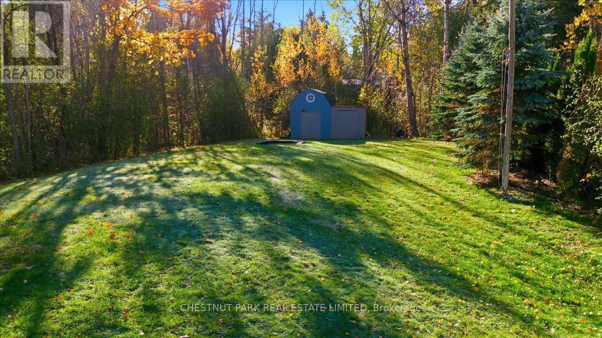 49 Sandra Drive, Georgina, Ontario  L0E 1R0 - Photo 39 - N12489180
