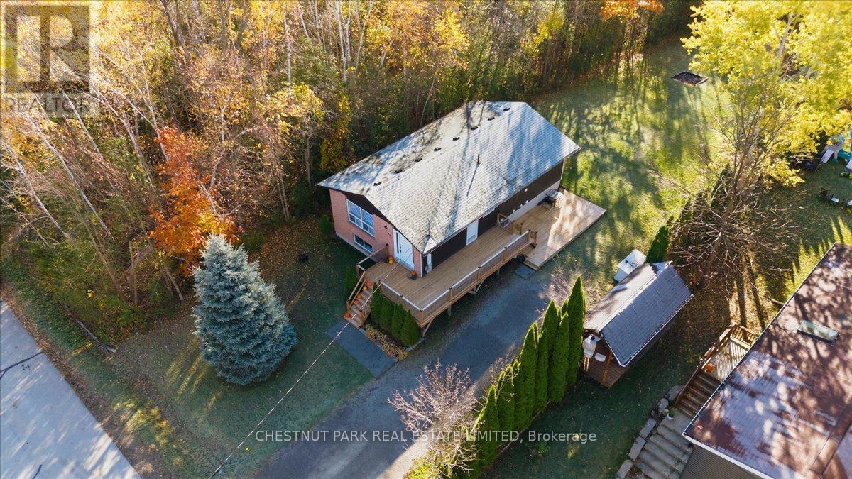 49 Sandra Drive, Georgina, Ontario  L0E 1R0 - Photo 40 - N12489180