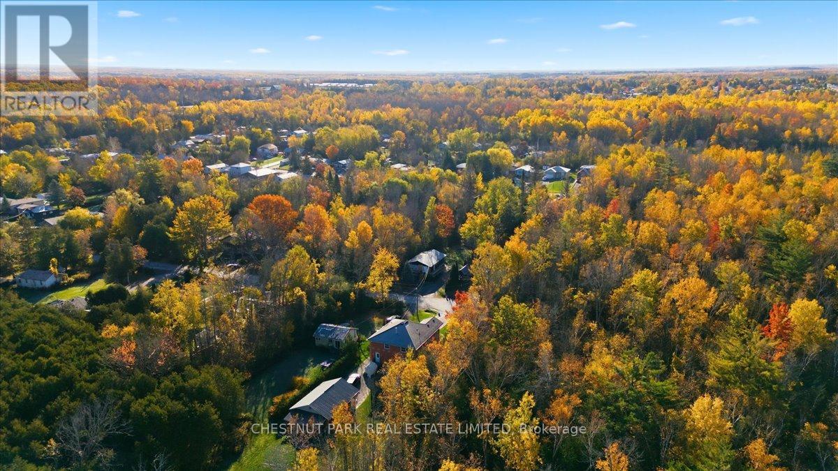 49 Sandra Drive, Georgina, Ontario  L0E 1R0 - Photo 42 - N12489180