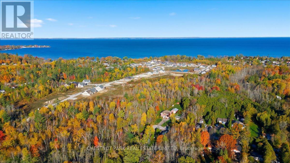 49 Sandra Drive, Georgina, Ontario  L0E 1R0 - Photo 43 - N12489180