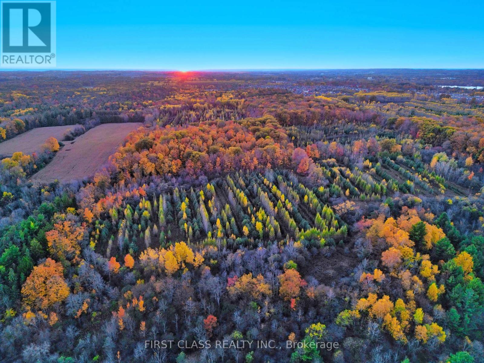 24 Kamper Avenue, Richmond Hill, Ontario  L4E 1M4 - Photo 22 - N12489256