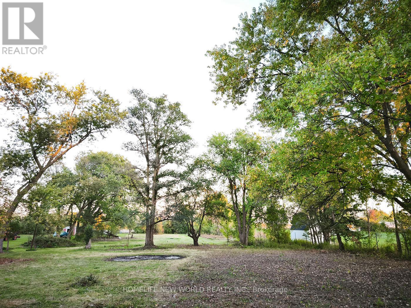 790 Hwy 6, Haldimand, Ontario  N3W 1N6 - Photo 4 - X12489280