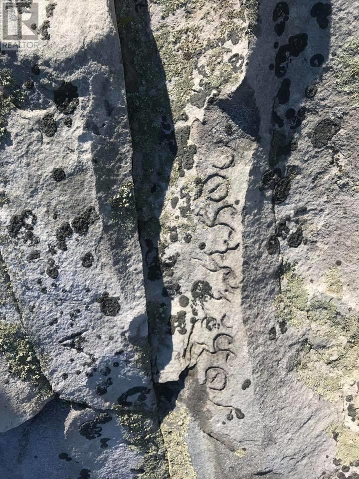 Lot Mcnutts Island Road, Mcnutts Island, Nova Scotia  B0T 1K0 - Photo 29 - 202509454