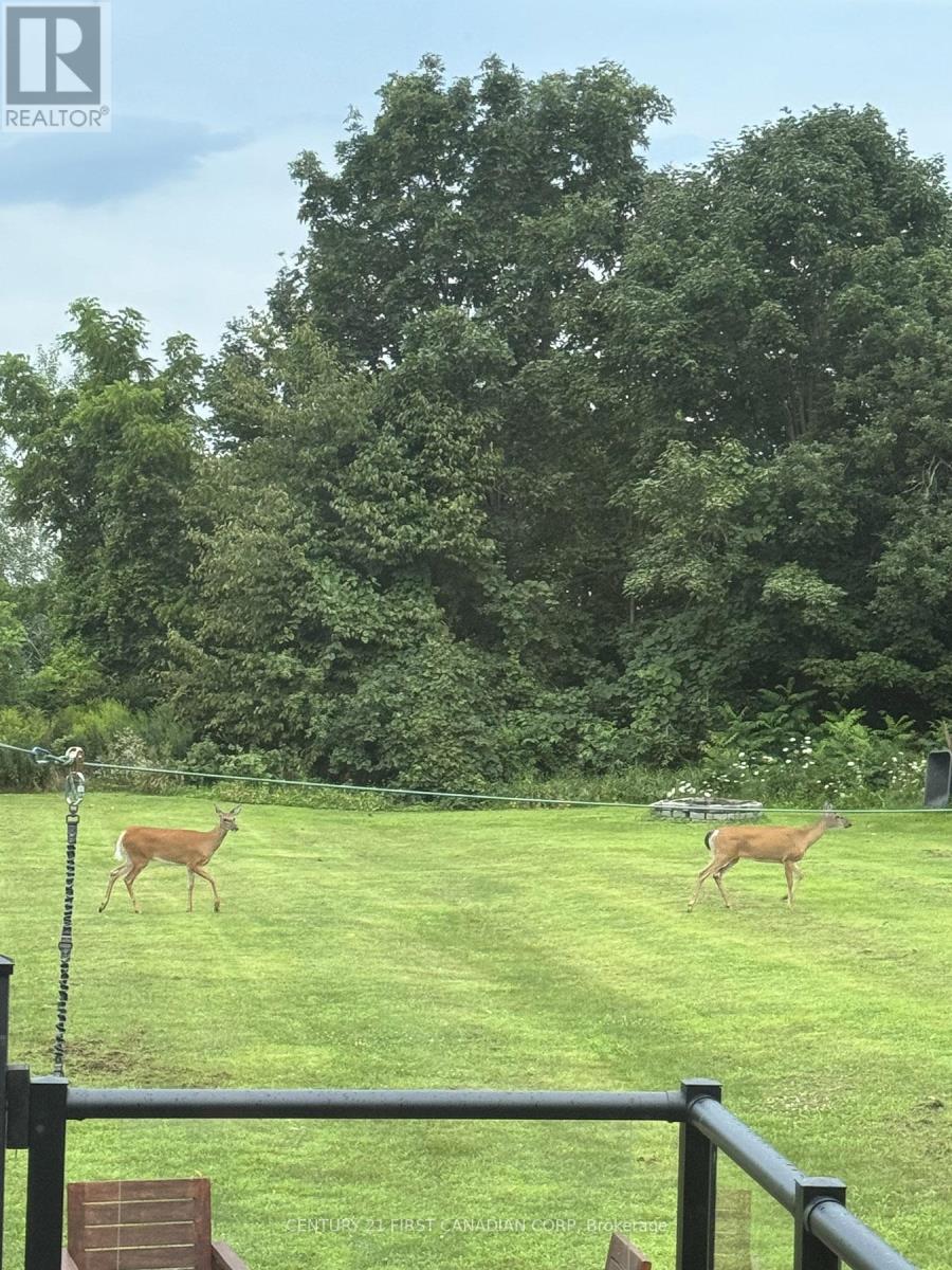 325 Brant County 18 Road, Brant, Ontario  N3S 0H4 - Photo 49 - X12431274