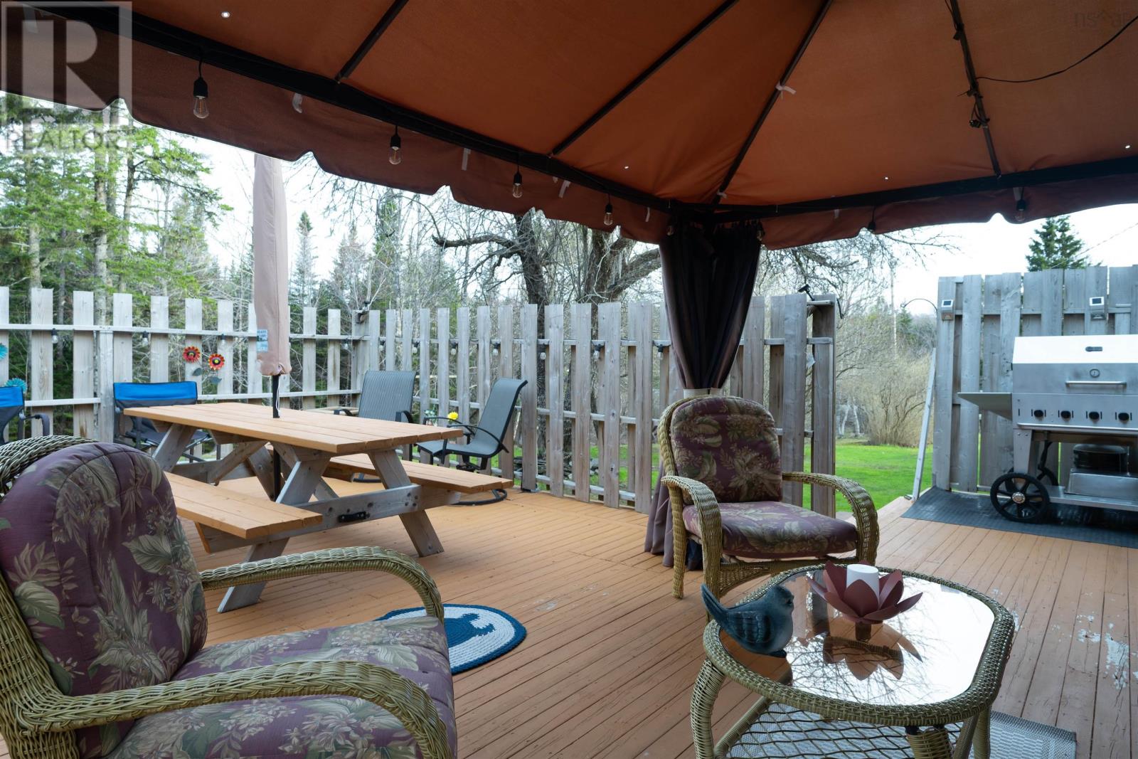 752 Highway 336, Newton Mills, Nova Scotia  B0N 2P0 - Photo 20 - 202509673