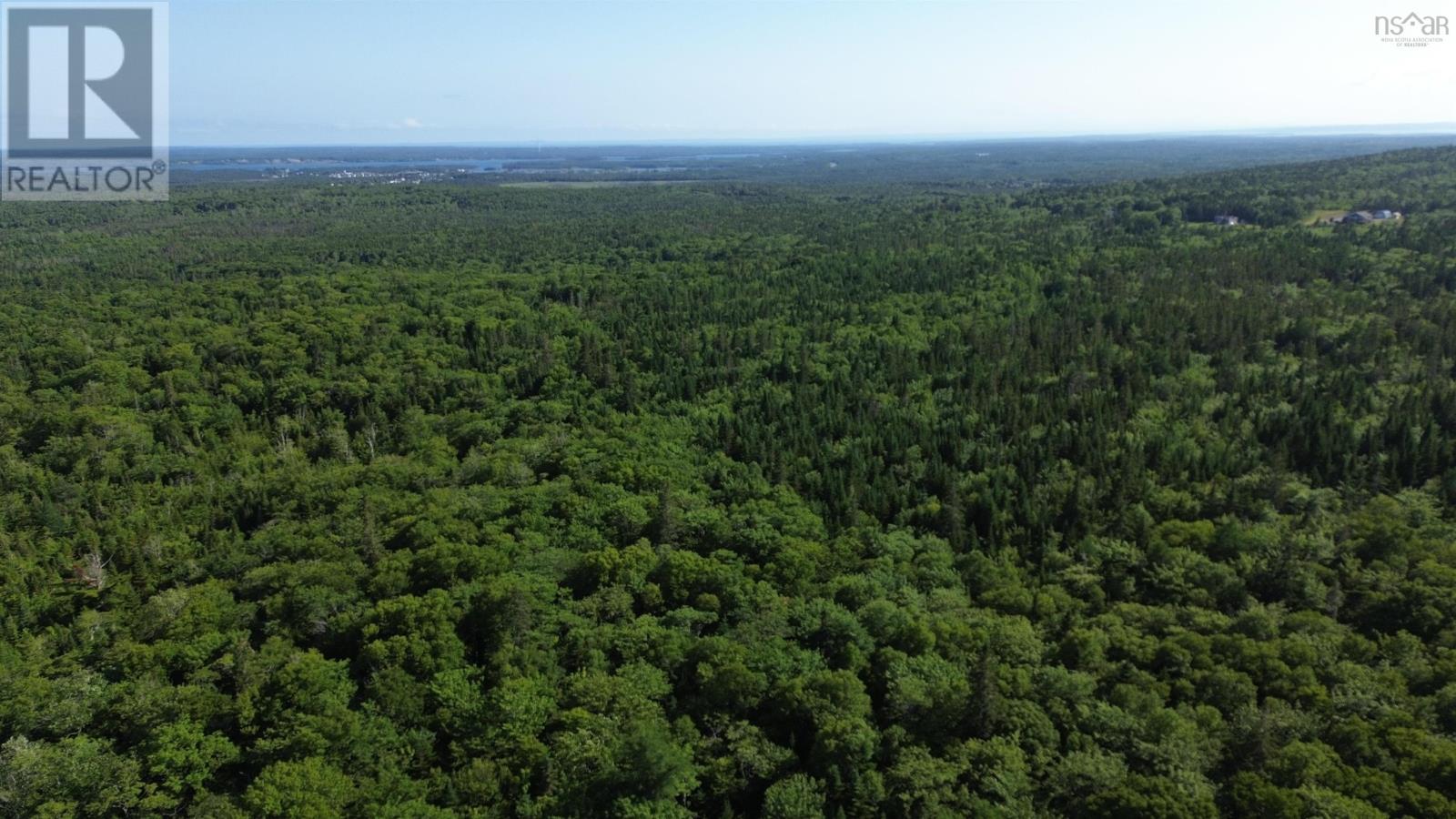 Black River Road, Grande Anse, Nova Scotia  B0E 1V0 - Photo 18 - 202517525