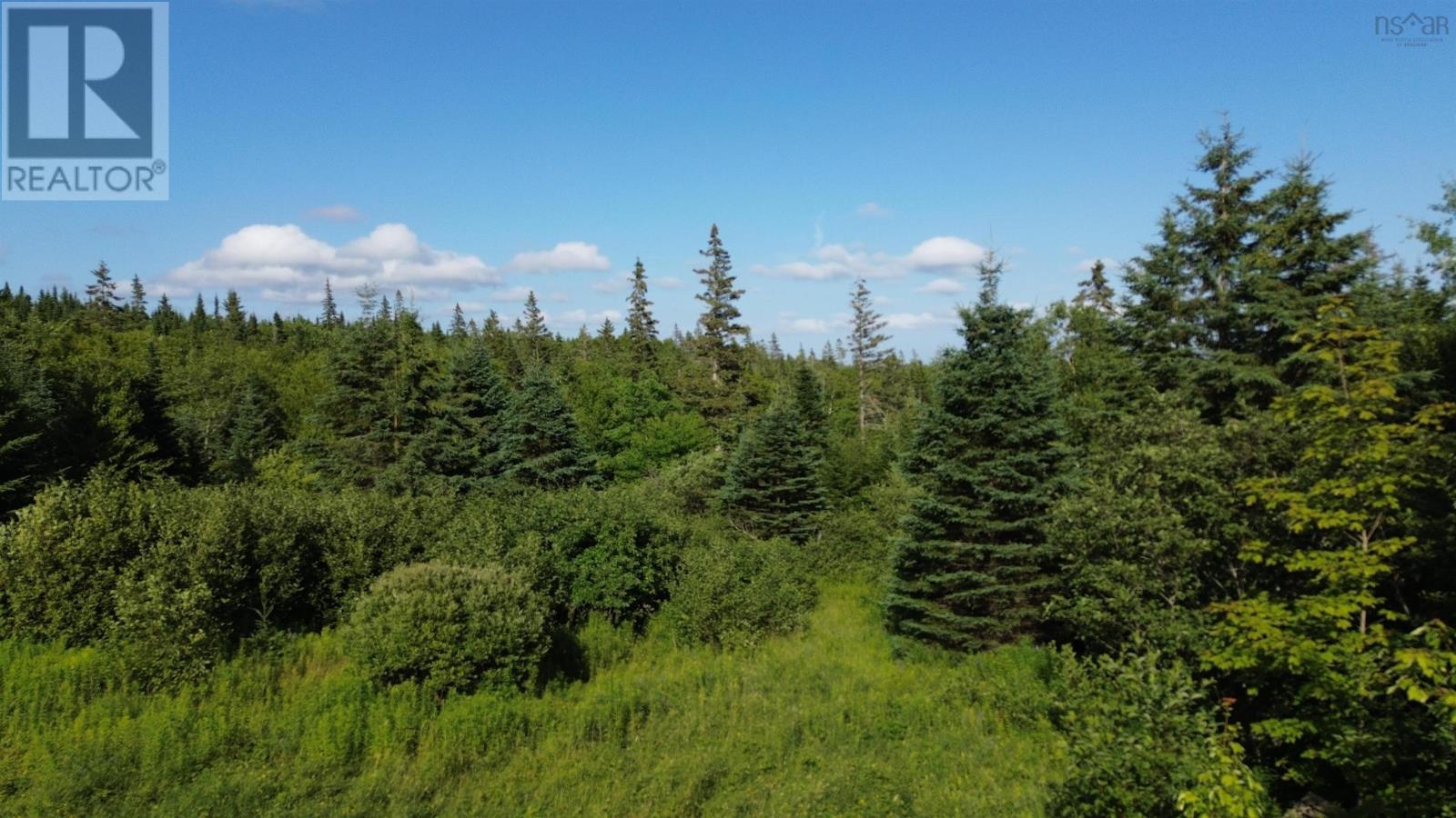 Black River Road, Grande Anse, Nova Scotia  B0E 1V0 - Photo 33 - 202517525