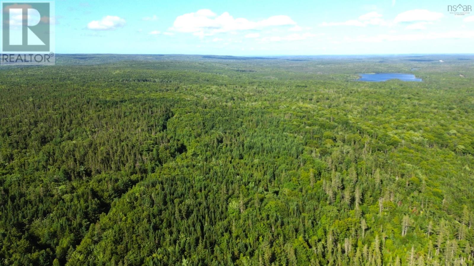 Black River Road, Grande Anse, Nova Scotia  B0E 1V0 - Photo 9 - 202517525