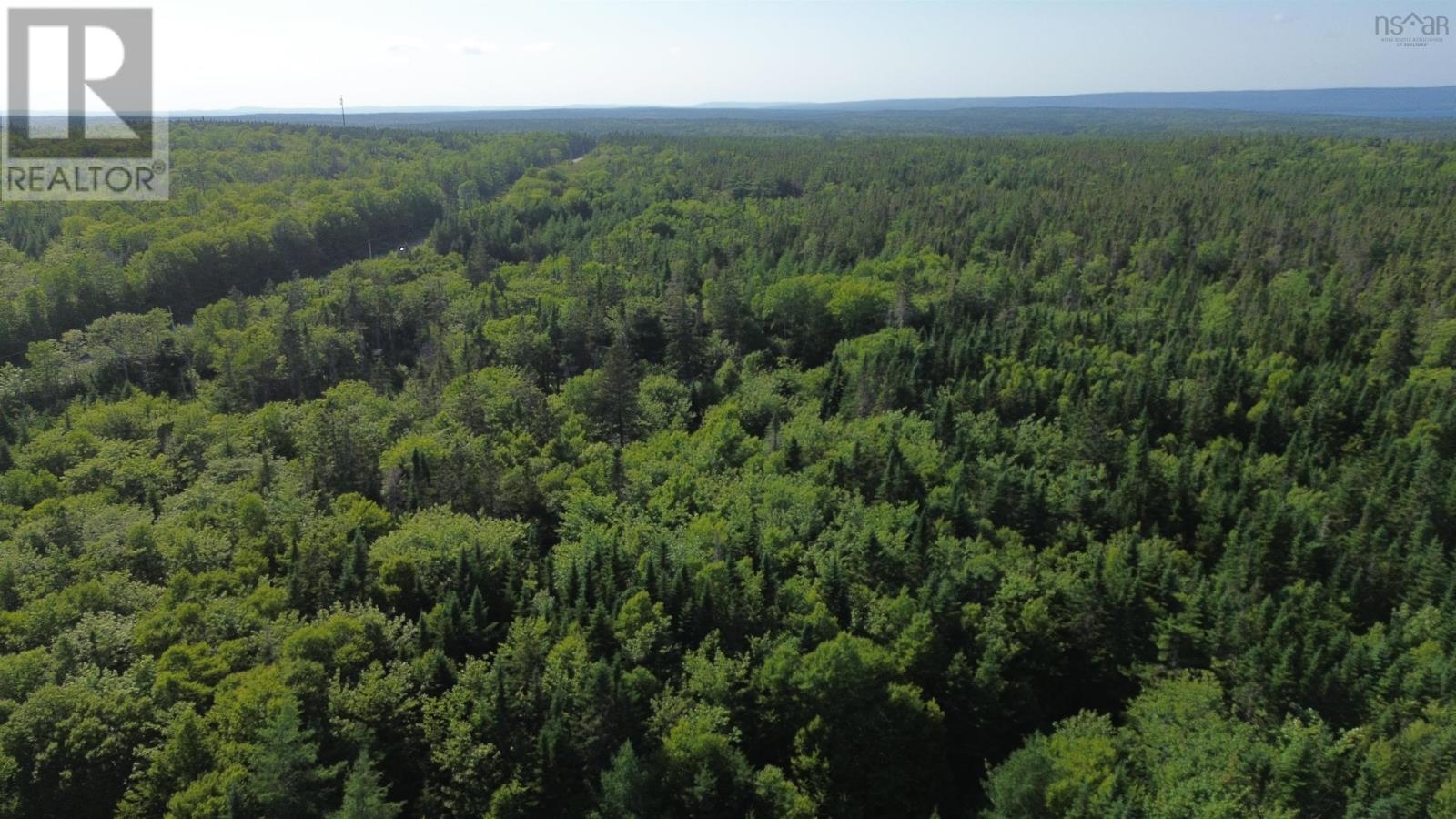 Black River Road, Grande Anse, Nova Scotia  B0E 1V0 - Photo 24 - 202517525