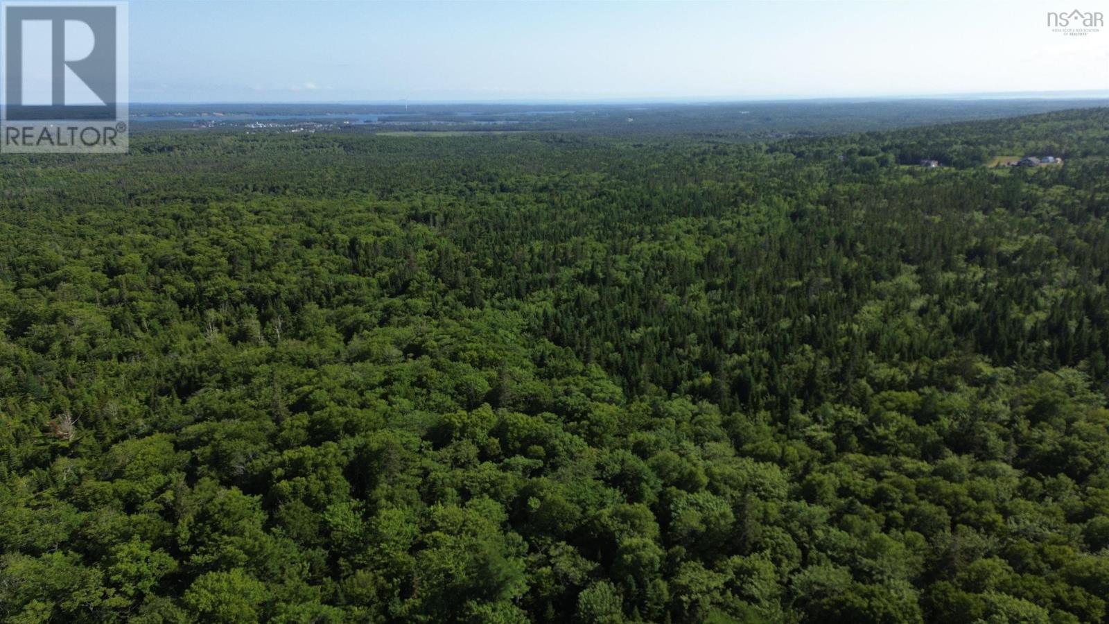 Black River Road, Grande Anse, Nova Scotia  B0E 1V0 - Photo 17 - 202517525