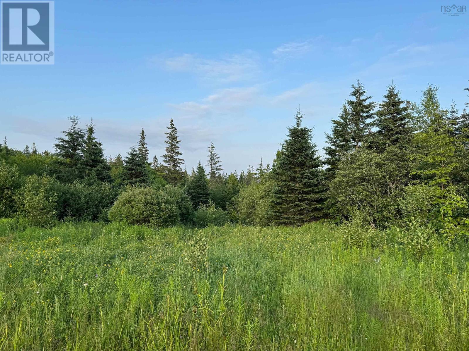 Black River Road, Grande Anse, Nova Scotia  B0E 1V0 - Photo 4 - 202517525