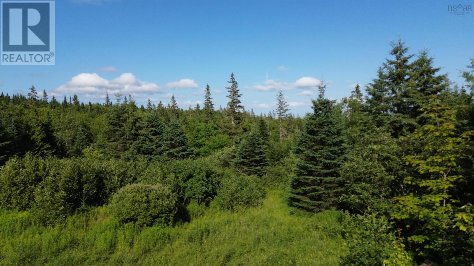 Black River Road, Grande Anse, Nova Scotia  B0E 1V0 - Photo 6 - 202517525