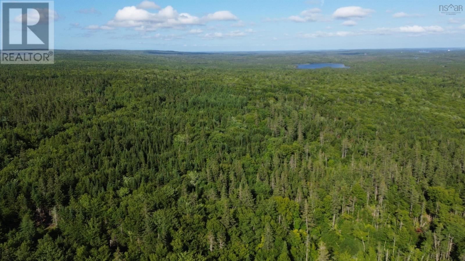 Black River Road, Grande Anse, Nova Scotia  B0E 1V0 - Photo 8 - 202517525