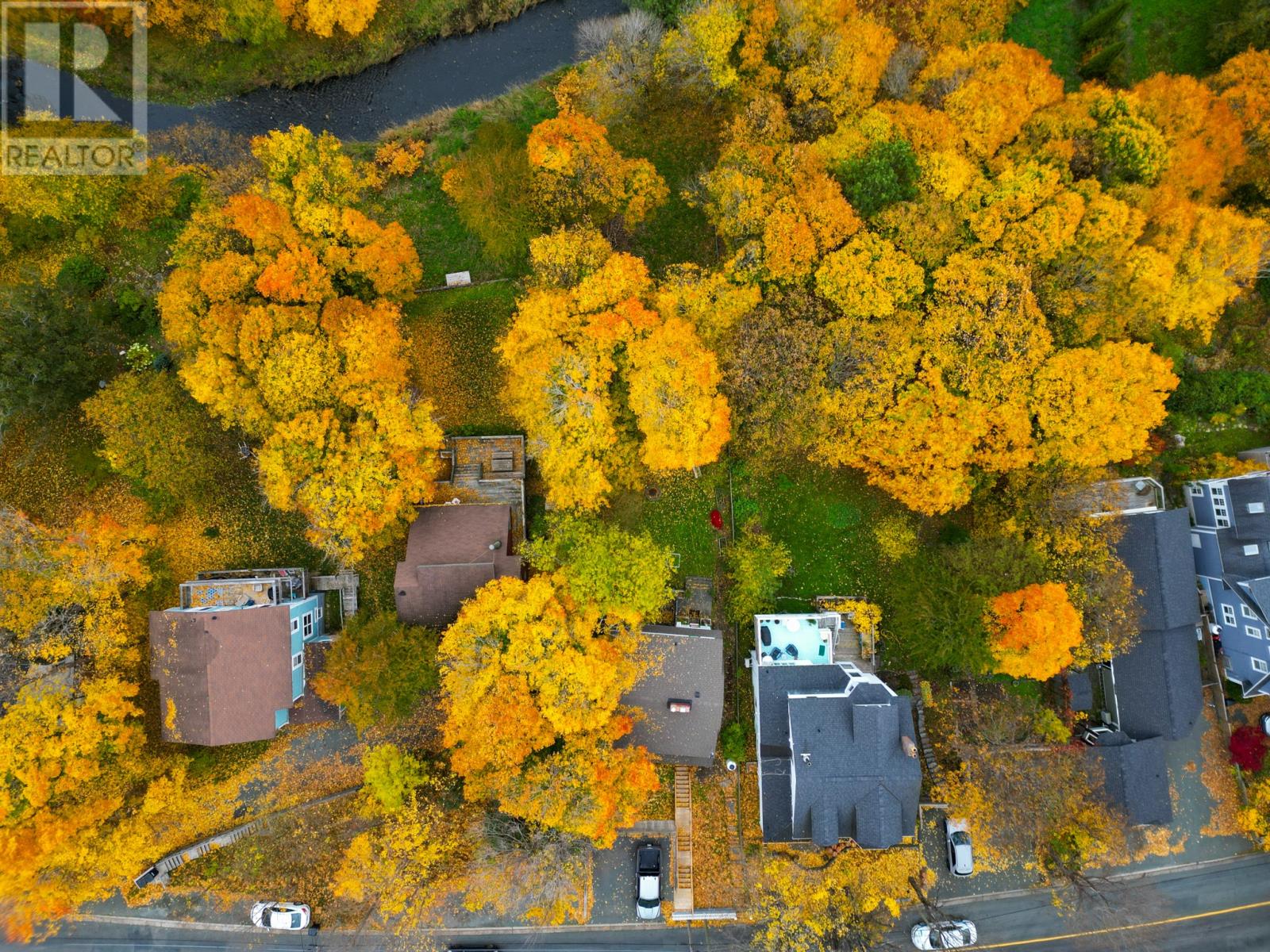 149 Waterford Bridge Road, St. John's, Newfoundland & Labrador  A1E 1C7 - Photo 3 - 1292090