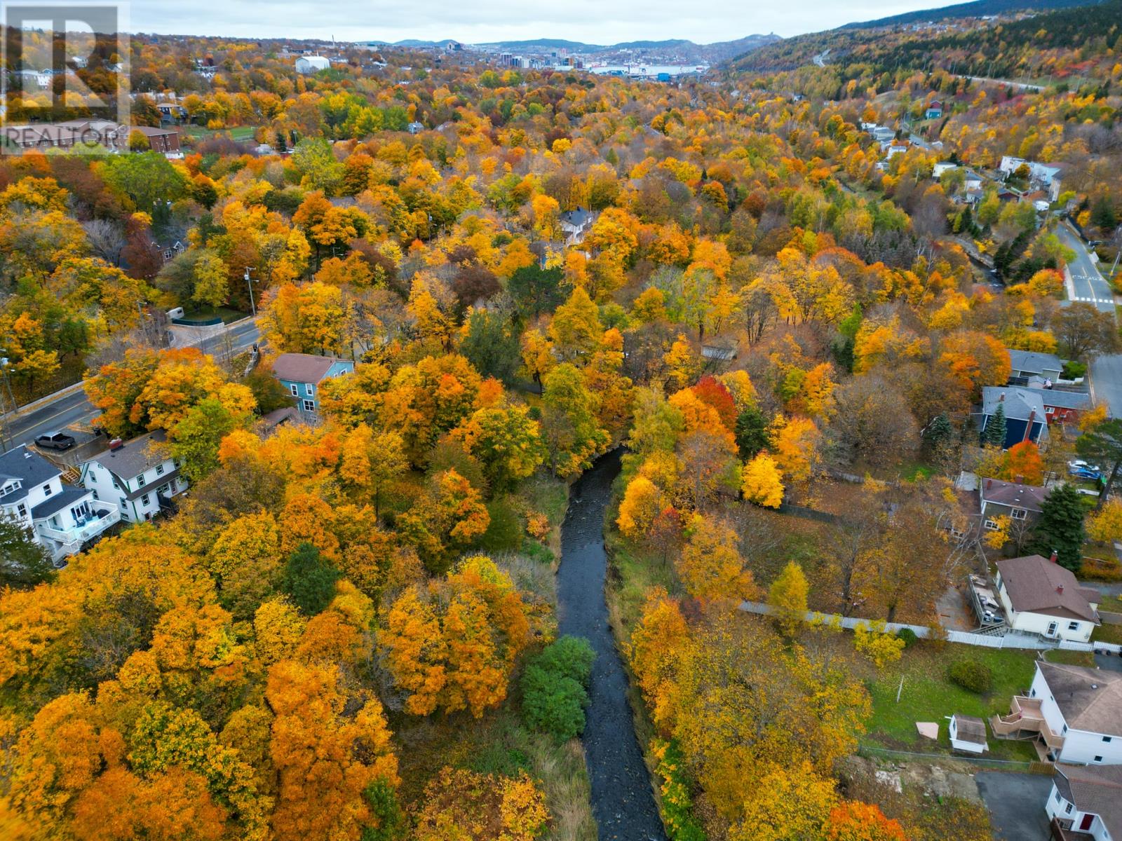 149 Waterford Bridge Road, St. John's, Newfoundland & Labrador  A1E 1C7 - Photo 36 - 1292090