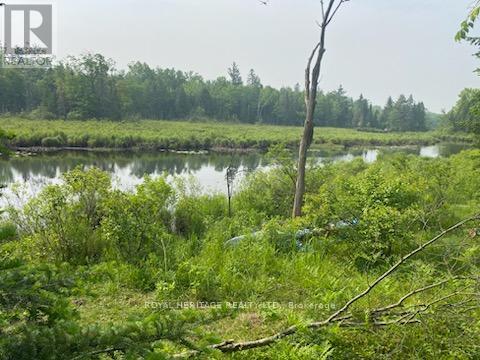 17556 HIGHWAY 62, Madoc, Ontario