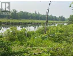 17556 HIGHWAY 62, Madoc, Ontario