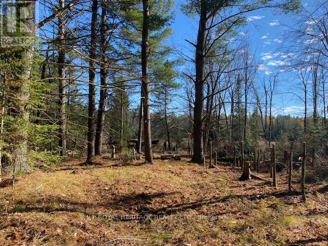 17556 Highway 62, Madoc, Ontario  K0K 2K0 - Photo 2 - X12206755