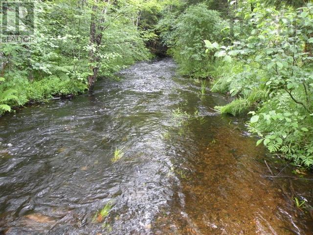 Lot 2 Grosses Coques Road, Grosses Coques, Nova Scotia  B0W 1M0 - Photo 34 - 202512215