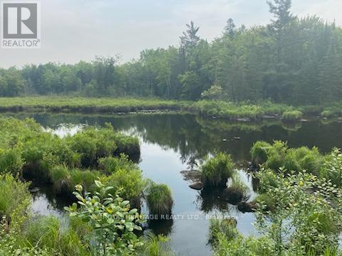 17556 Highway 62, Madoc, Ontario  K0K 2K0 - Photo 16 - X12206755