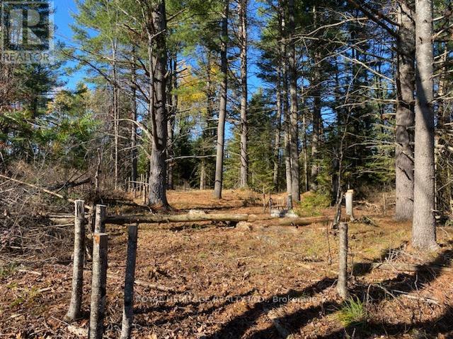 17556 Highway 62, Madoc, Ontario  K0K 2K0 - Photo 20 - X12206755