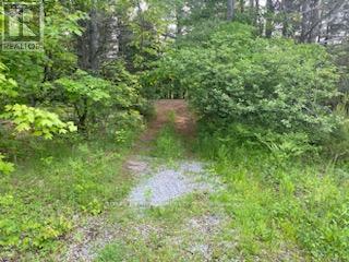17556 Highway 62, Madoc, Ontario  K0K 2K0 - Photo 6 - X12206755