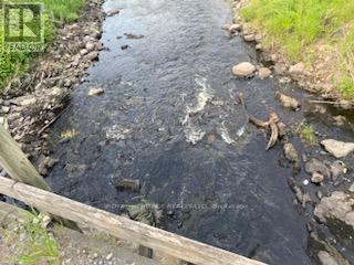 17556 Highway 62, Madoc, Ontario  K0K 2K0 - Photo 10 - X12206755