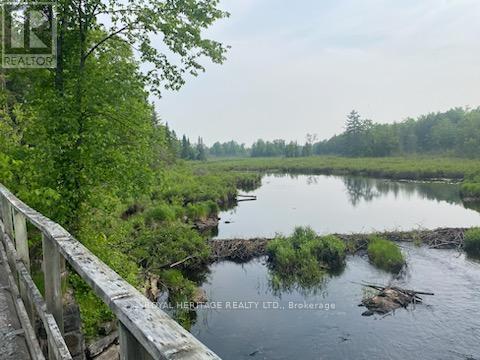 17556 Highway 62, Madoc, Ontario  K0K 2K0 - Photo 11 - X12206755