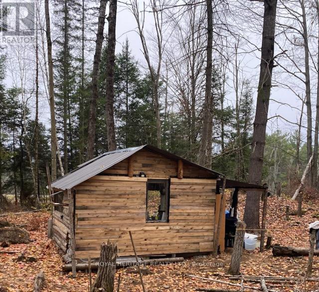 17556 Highway 62, Madoc, Ontario  K0K 2K0 - Photo 24 - X12206755