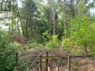 17556 Highway 62, Madoc, Ontario  K0K 2K0 - Photo 12 - X12206755