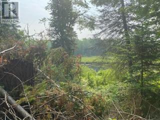 17556 Highway 62, Madoc, Ontario  K0K 2K0 - Photo 13 - X12206755