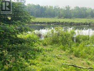 17556 Highway 62, Madoc, Ontario  K0K 2K0 - Photo 14 - X12206755