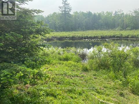 17556 Highway 62, Madoc, Ontario  K0K 2K0 - Photo 15 - X12206755