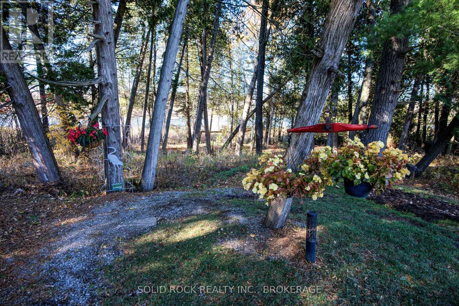 423 Mud Lake Road, Loyalist (Lennox And Addington - South), Ontario  K0H 2H0 - Photo 42 - X12489690